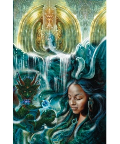 "PachaMama" Robert Venosa Martins Hoffmann Luke Brown