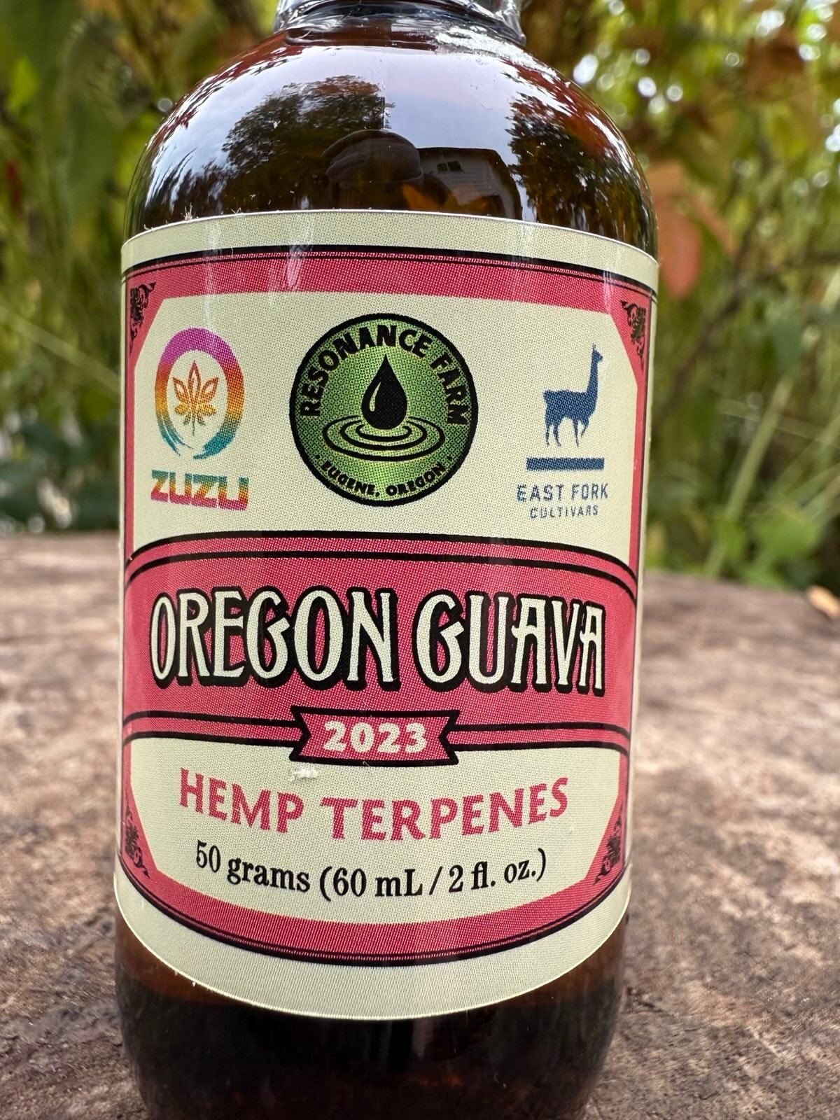 Oregon Guava