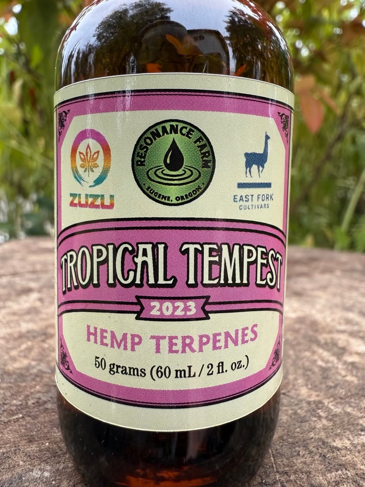 Tropical Tempest